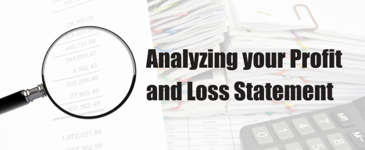 Analyzing Your Profit and Loss Statement