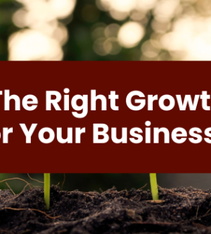 Choosing The Right Growth Strategy for Your Business