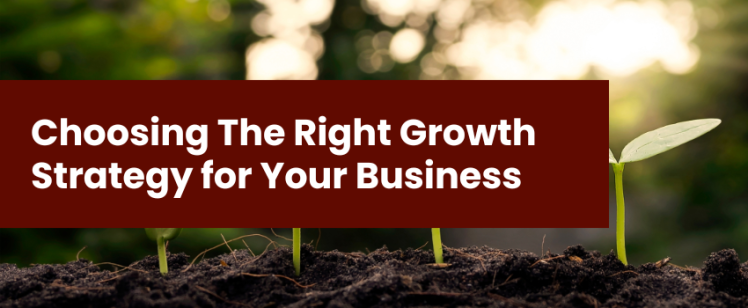 Choosing The Right Growth Strategy for Your Business