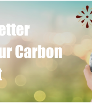 How to Better Track Your Carbon Footprint